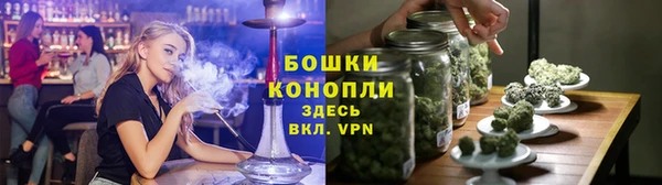 ГАЛЛЮЦИНОГЕННЫЕ ГРИБЫ Чердынь