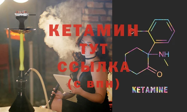 крисы Чегем