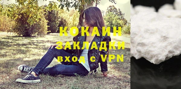 ГАЛЛЮЦИНОГЕННЫЕ ГРИБЫ Чердынь
